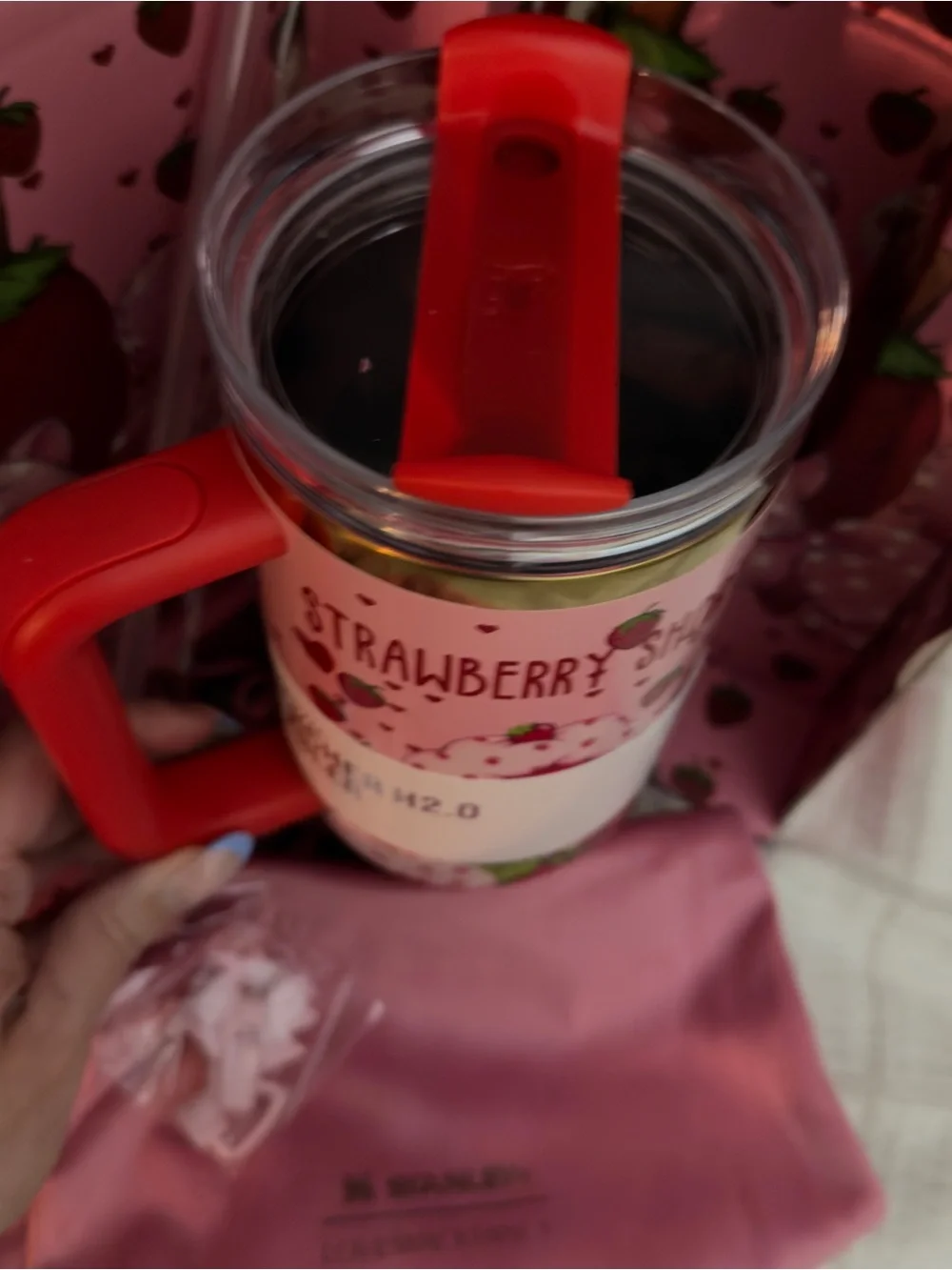 Stanley cute strawberry